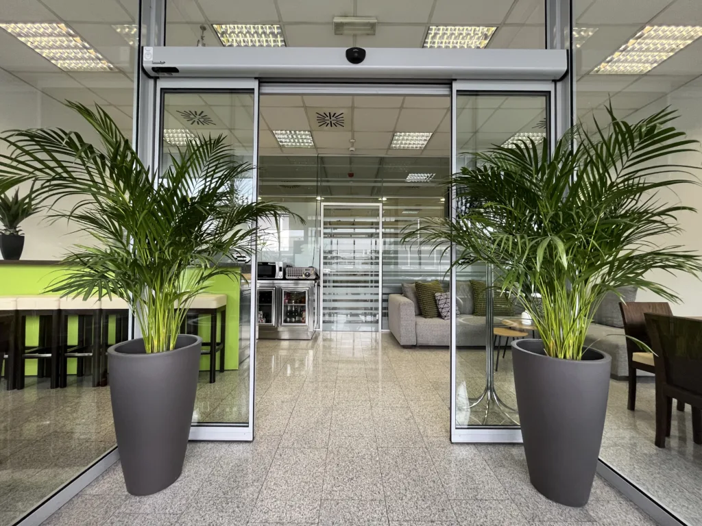 img_9335 tempera preddverje